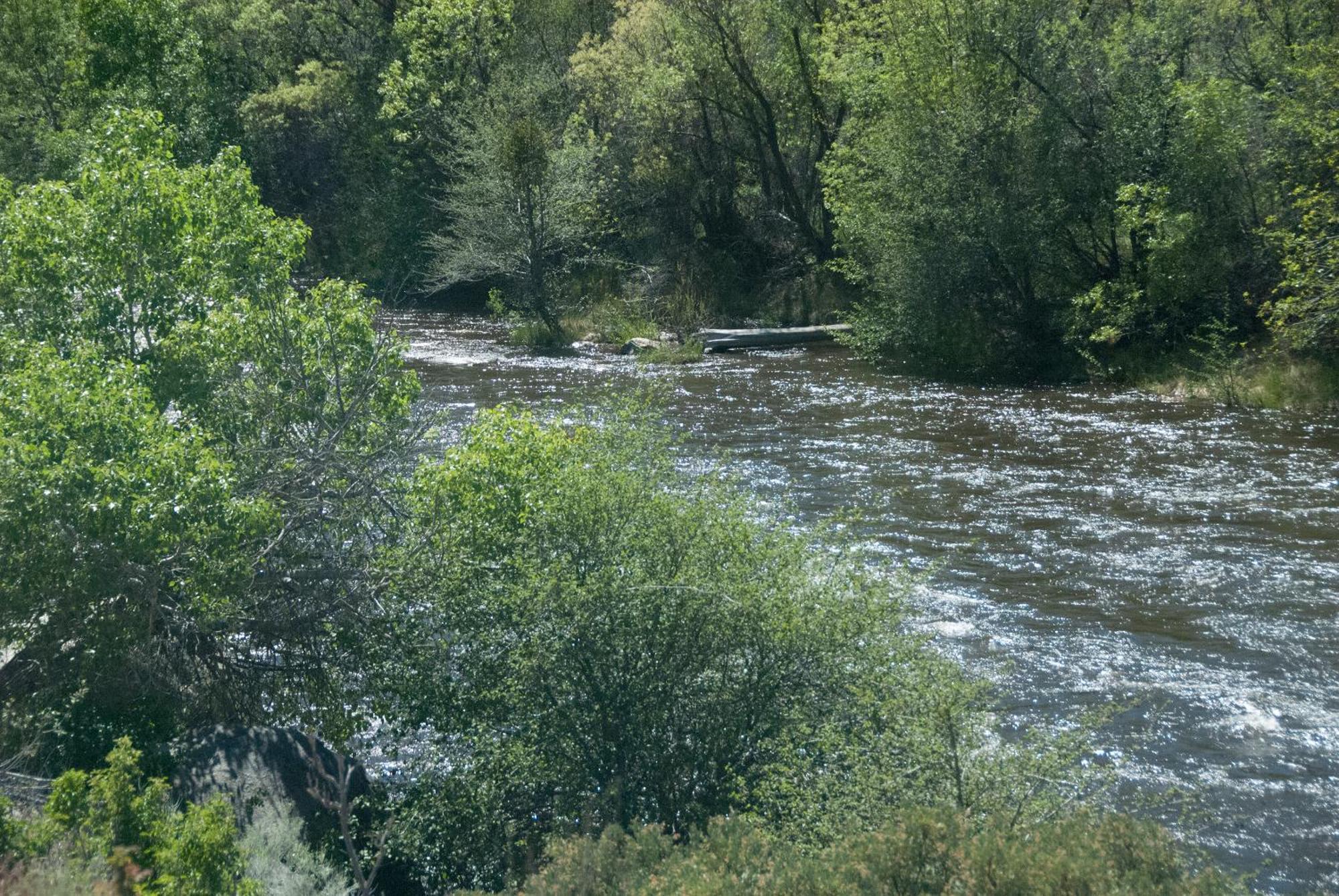 Corral Creek Lodge Кернвилл Экстерьер фото